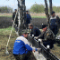 Шефство над памятником освободителям - Газета Добринские вести