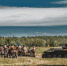 Фестиваль «Тербунский рубеж. Жаркое лето 1942 года» прошел в Липецкой области - Газета Добринские вести